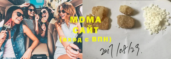 индика Белая Холуница