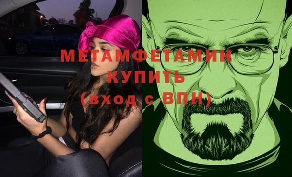 индика Белая Холуница